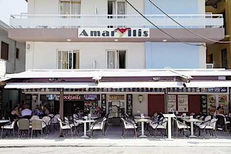 Amaryllis